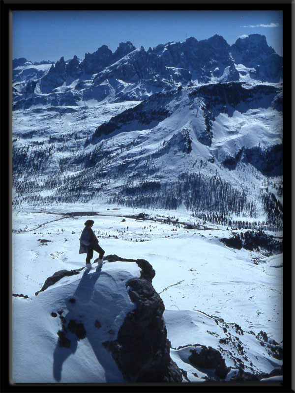 ...Le Pale di San Martino...